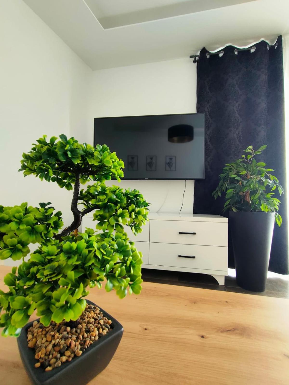 Apartment Luxury Penthouse Pula