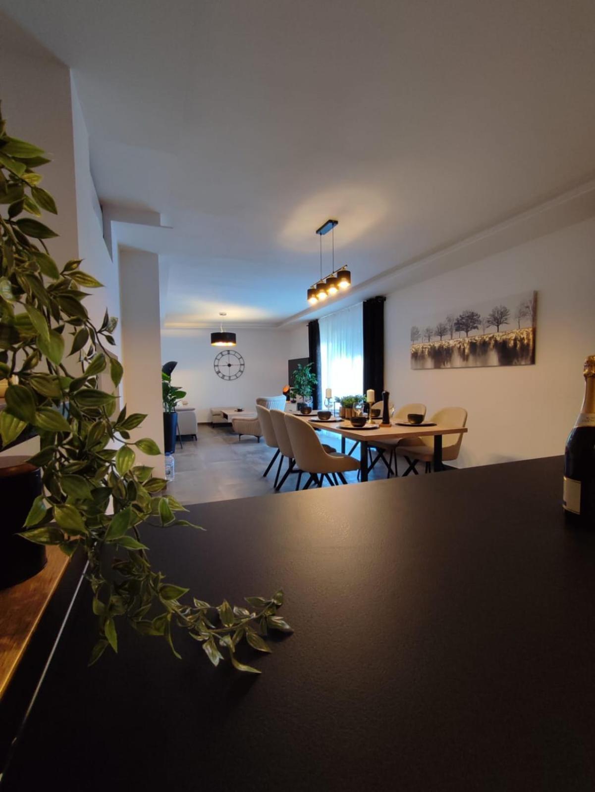 Luxury Penthouse Apartment